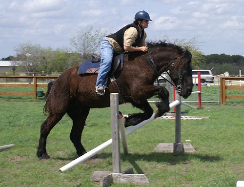 Honestly, when your horse looks like that on the flat, this is what you are 