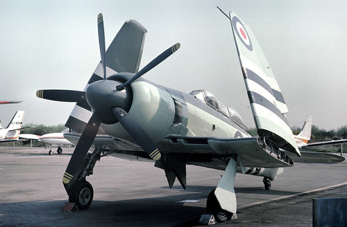 Warbird picture - Hawker Sea Fury