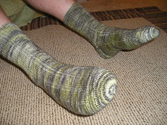 casual koigu socks