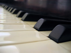 Piano Keyboard Macro - wlodi @ flickr