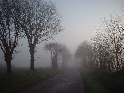 A beautiful misty morning on the road to Pontivy