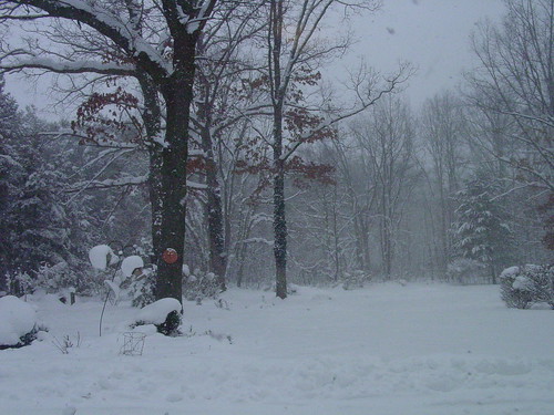 Blizzard of 2007