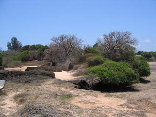 Malindi landscape
