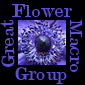 Great Flower Macro Group Logo