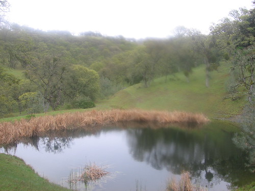 A pond along the trail