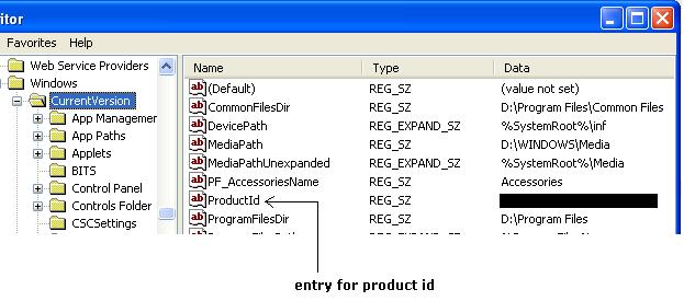 Recover the Windows Product ID from registry