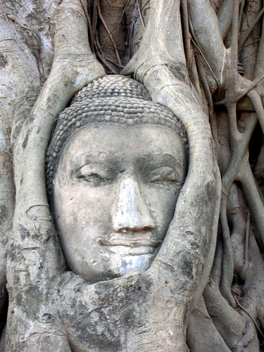 Buddha Head at Wat Phra Mahathat temple