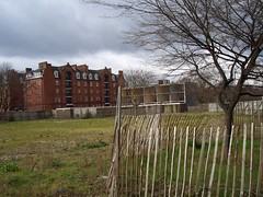 Camberwell demolition