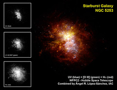 Center of the starburst galaxy NGC 5253