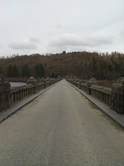 Along the Dam