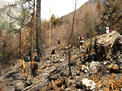 Forest fire remains near Anzere, Switzerland