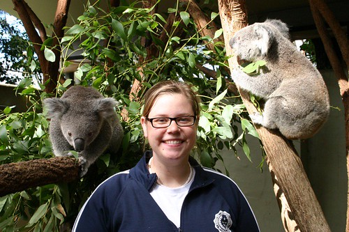 Me and some koalas.