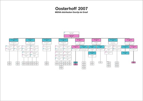 oosterhoff-mtdna-2007
