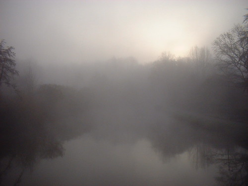 Sun peeping over the trees beside the misty canal