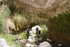 Capua canyon - Moss and Bianca