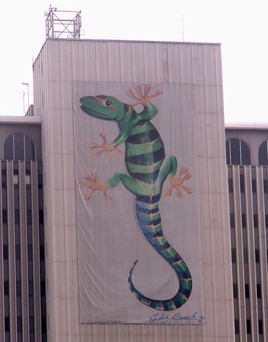 Another Lizard Climbing Another Building
