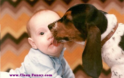 animal-baby-dog-kiss-lick