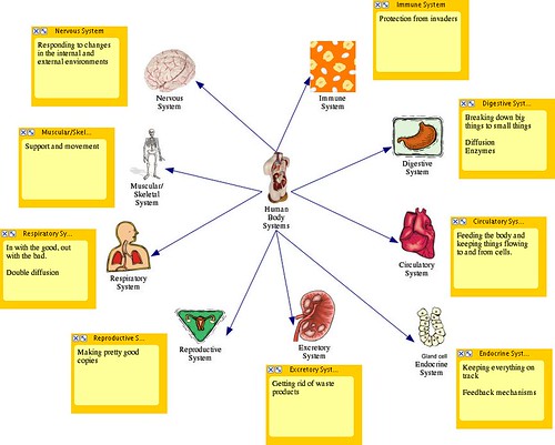 systems of body. Human Body Systems Diagram -
