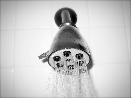 Hotel shower head
