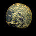 Small Planet 1384