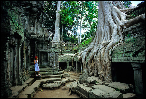 Angkor [1982]
