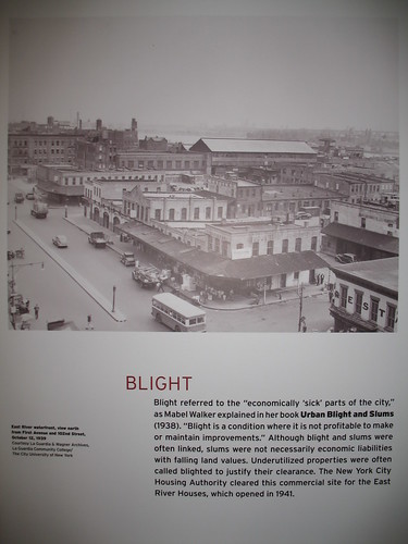 Blight, Robert Moses exhibit