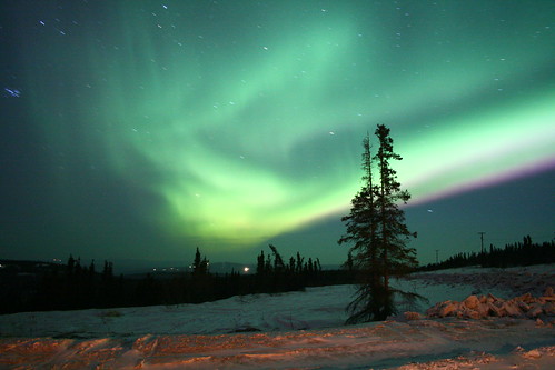 Aurora in front of Fairbanks lodge by goalkeeper