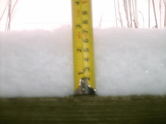 another 3 inches