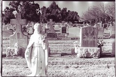calvary catholic cemetery