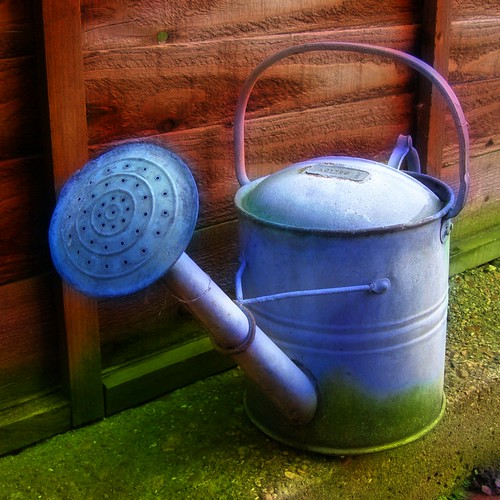 Watering Can (orton) by Auntie P.