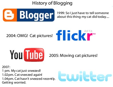 History of cat blogging