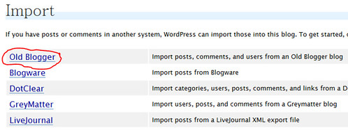 Wordpress import options