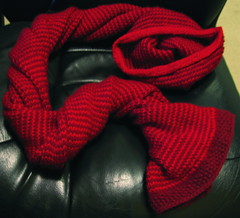 Nicole's scarf