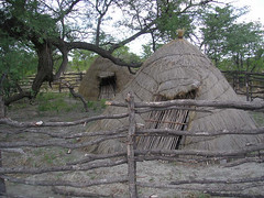 Traditional Basarwa hut.JPG
