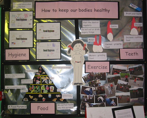 we are looking at teeth, food groups and the benefits of exercise.