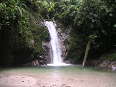 Amazon waterfall rain forest crystalline ecotourism paradise Tena Ecuador