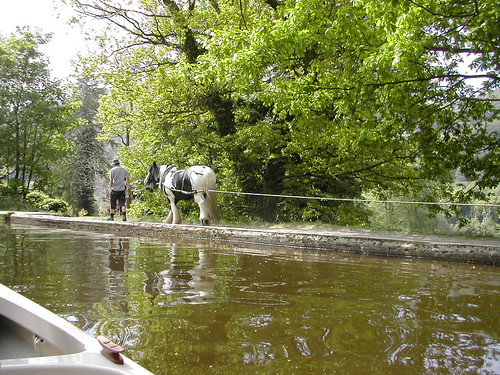 Horse Boat Horse