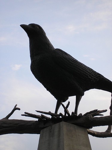 World's Largest Crow