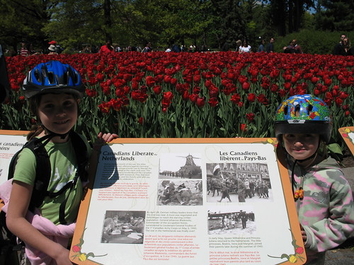 The history behind the tulips