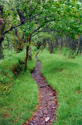 Glendalough path