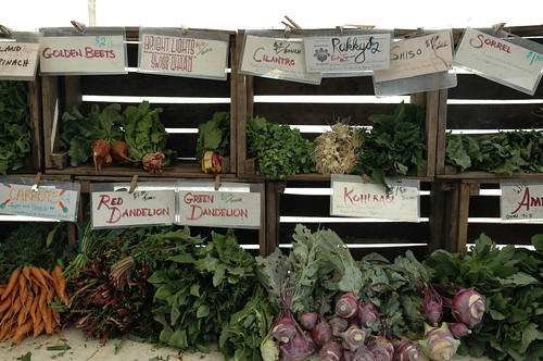 Evanston Farmer's Market