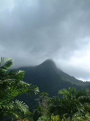 Trinidad - Mountain