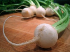 Baby turnip