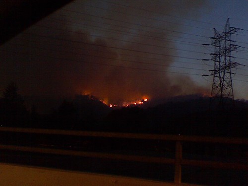 Griffith Park Fire