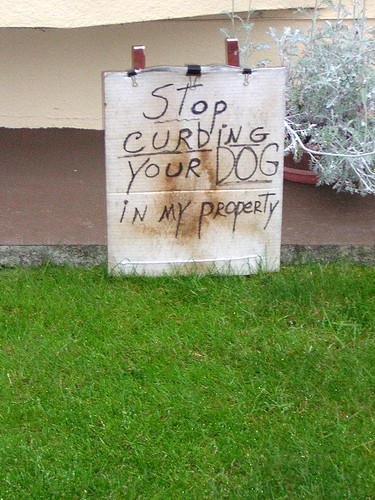 Stop Curbing Your Dog In My Property!