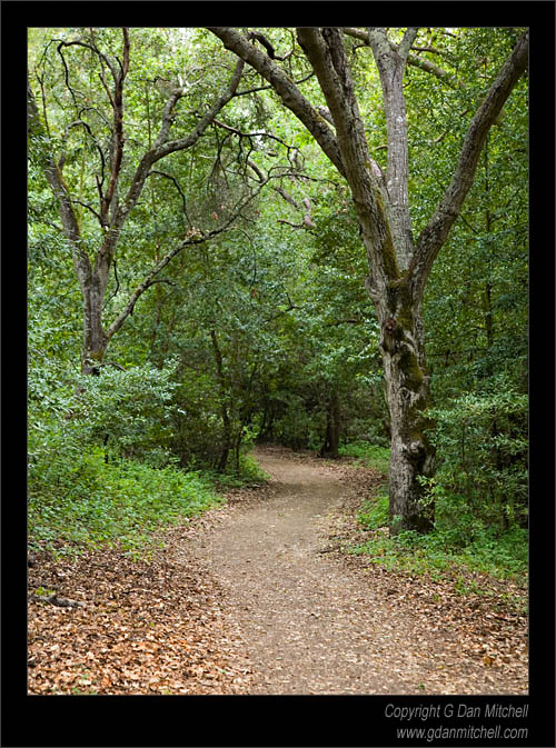 Figueroa Trail, Calero Hills