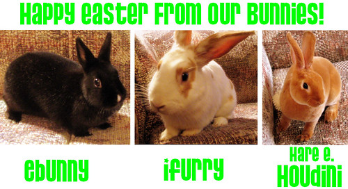 easter bunnies