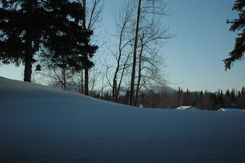 Otis Lake snow berm view with birdhouse, Anchorage Alaska