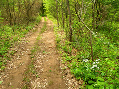 Buzzard's Roost trail