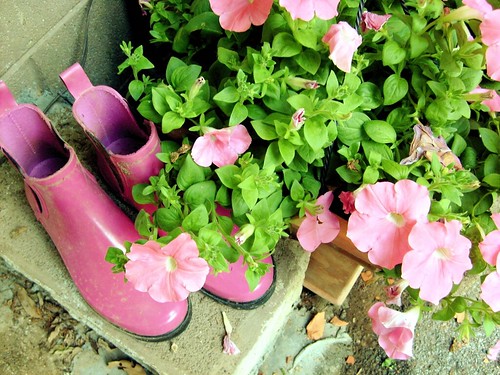 boots and blooms
